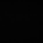 6T-3005