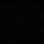 6R-3005